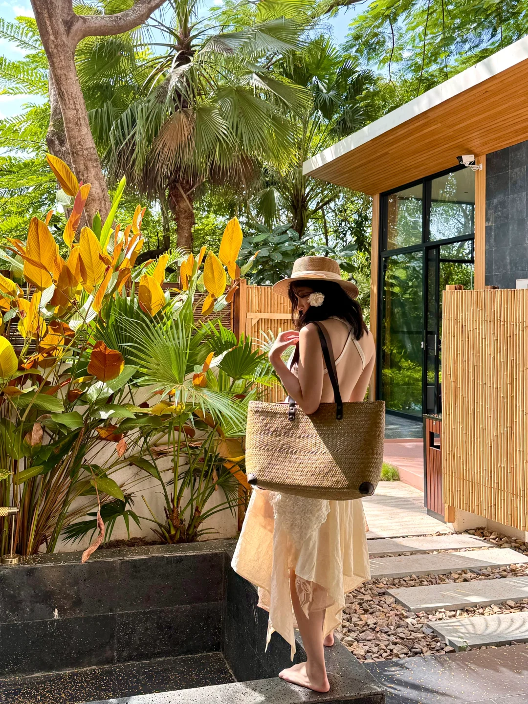 在版纳！！！住进了热带雨林深处🌴