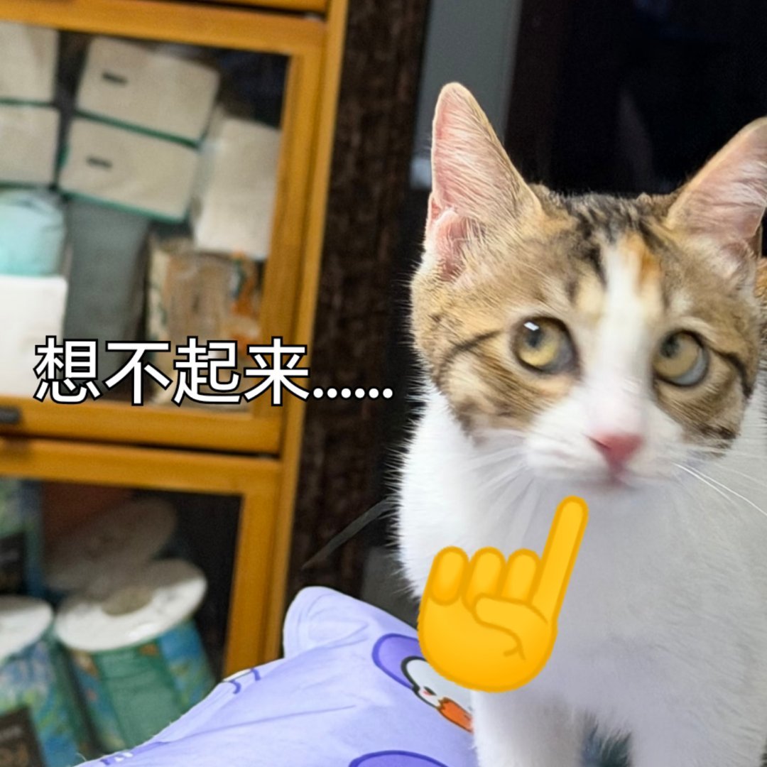 刘亦菲 姐姐上次在化妆间照片里晒出来的同款lv香水是哪一支？有人记得吗？ 