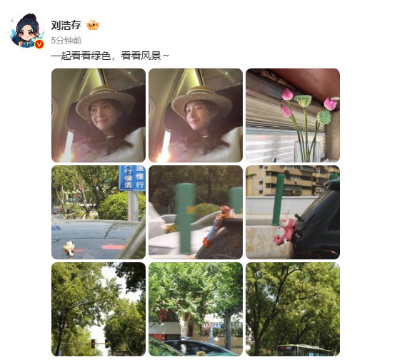 刘浩存分享看风景 plog，绿色铺满镜头超养眼。她漫步林间享受时光，这份自然之美