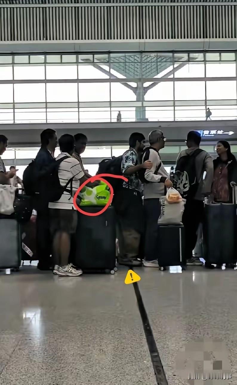 看到深圳通报20多人用假员工、假社保骗工作签证被遣返的消息，真是大快人心！这些钻