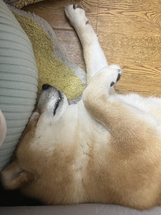 超绝大平头是怎样形成的