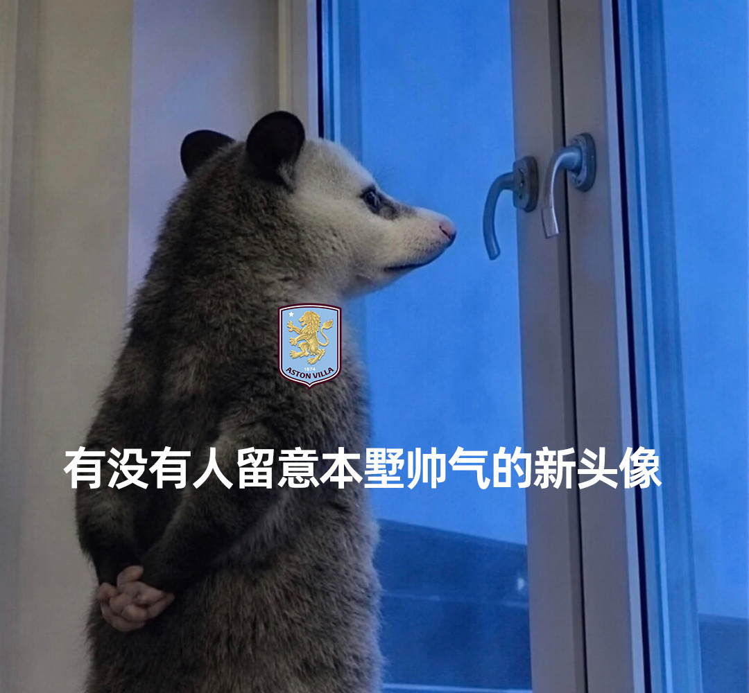 有没有人能懂弗赖堡0比3阿斯顿维拉阿斯顿维拉夺得欧联杯冠军阿斯顿维拉阿斯顿维拉