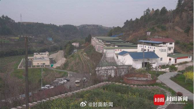 【国内第3例多基因编辑猪肾成功移植人体，#猪器官如何为人所用#？】#专家预测两三