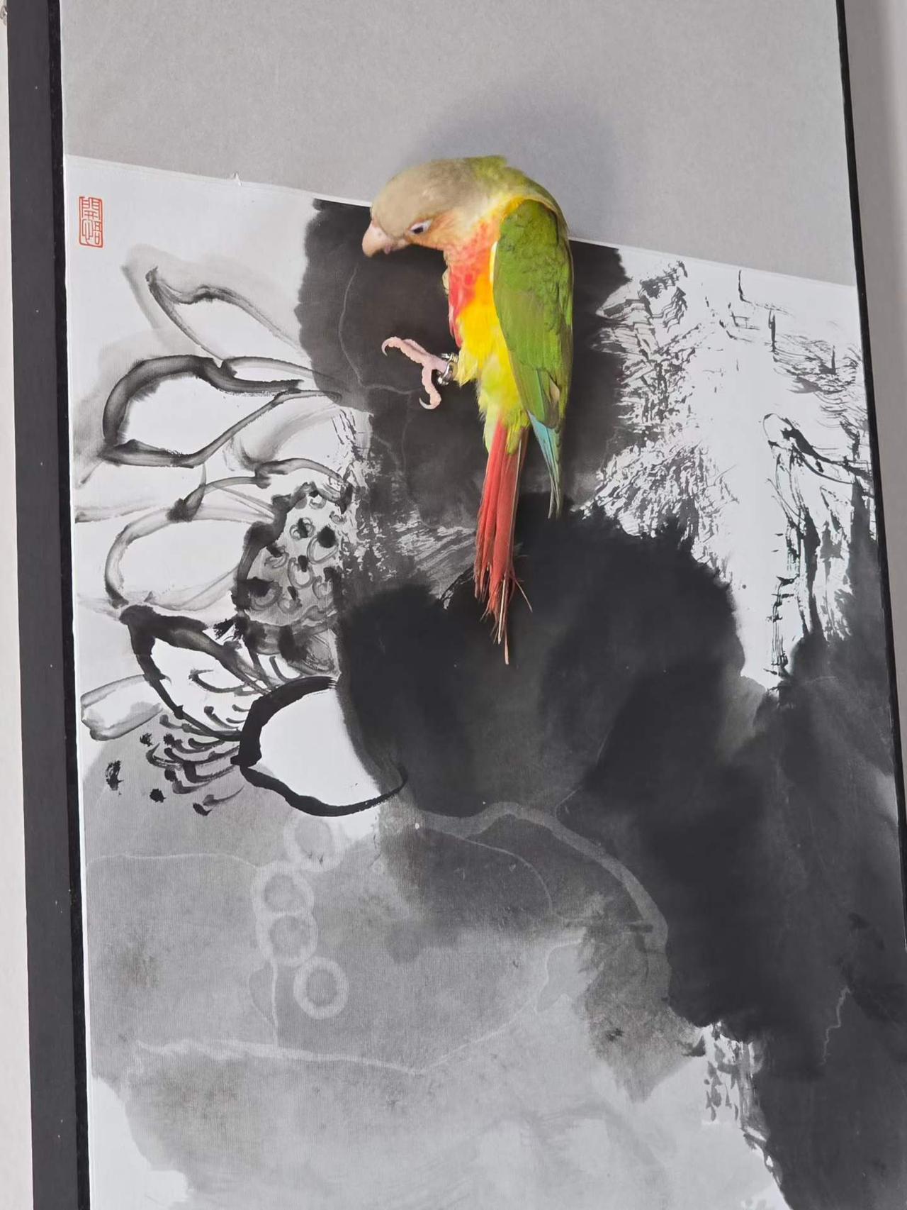 外界喧嚣纷扰，万般热闹皆浮于表面。
如今只想守一方画室，执笔绘心，三两鹦鹉相伴左