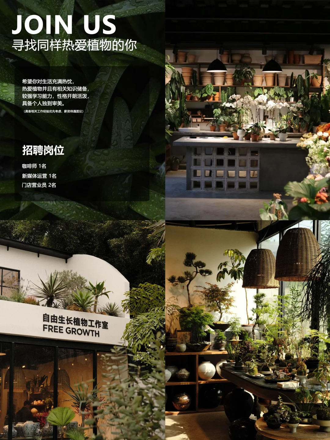 植物店招聘｜自由生长植物工作室