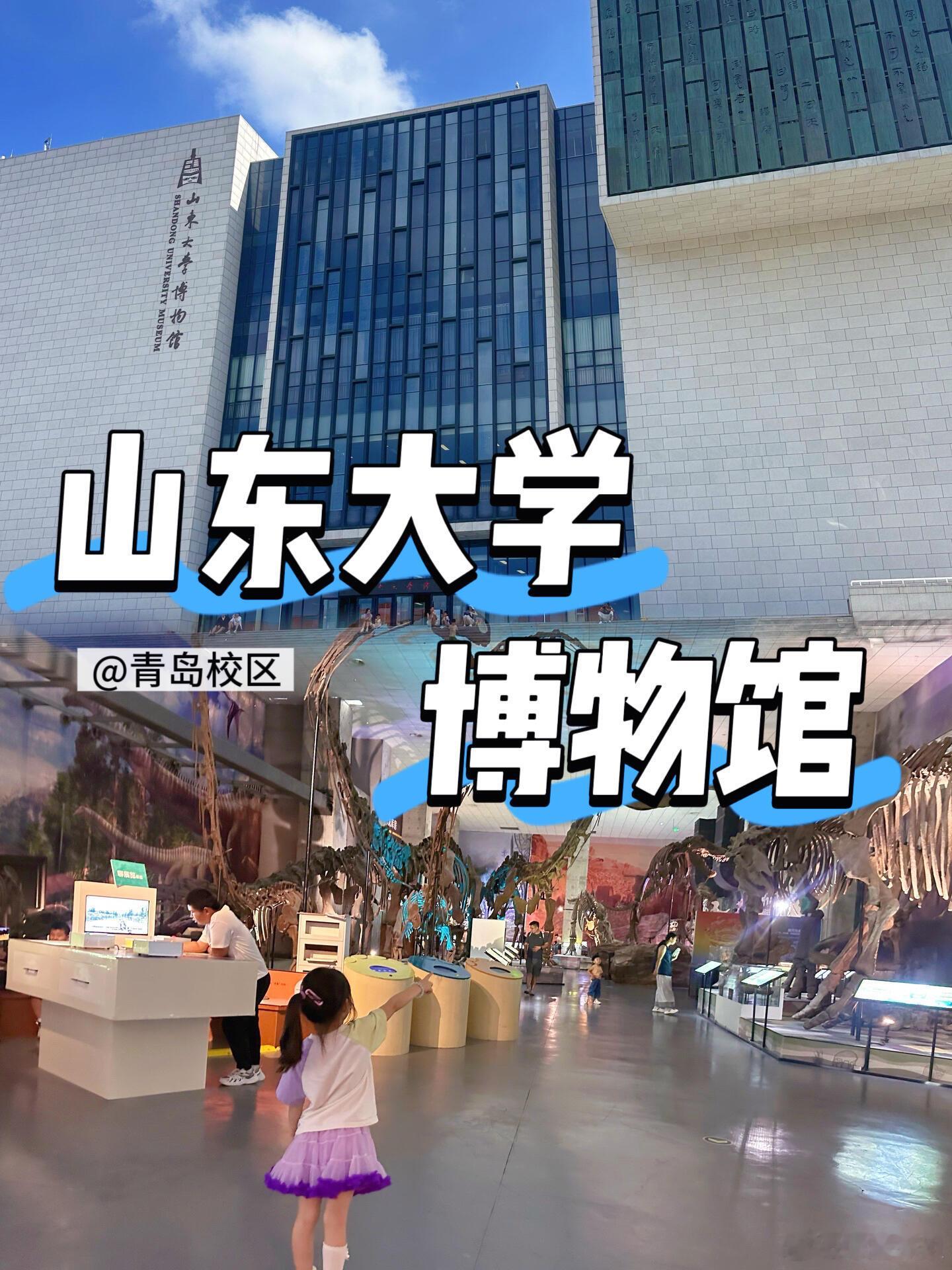 看展打卡、漫游博物馆山东大学青岛校区博物馆暑假带娃去哪儿？不想晒太阳又想涨知识？