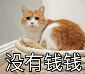 医院300万预算1000元中标采购暂停看病那么贵就没人管管，钱都去哪了？ ​​​