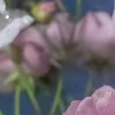 半指流年，匆匆，一帘西风，漫卷，暮秋，与浅冬重逢，又一季冬悄然而至。落叶成泥，轻