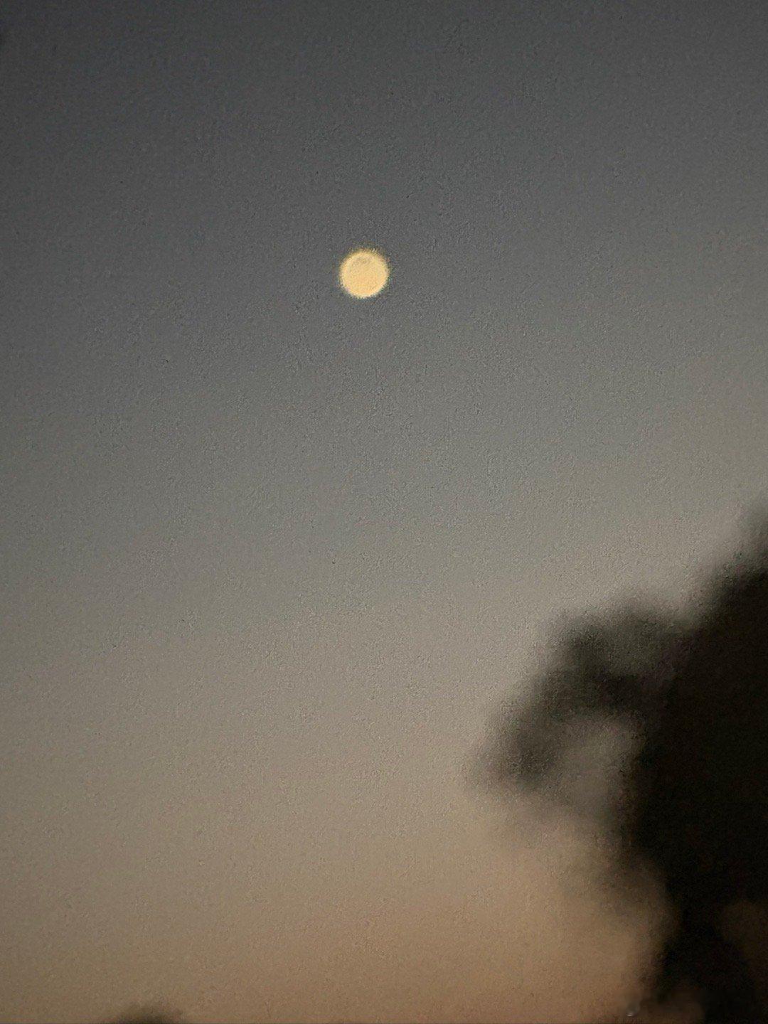 现在市场有困难；有困难大家自己克服一下 