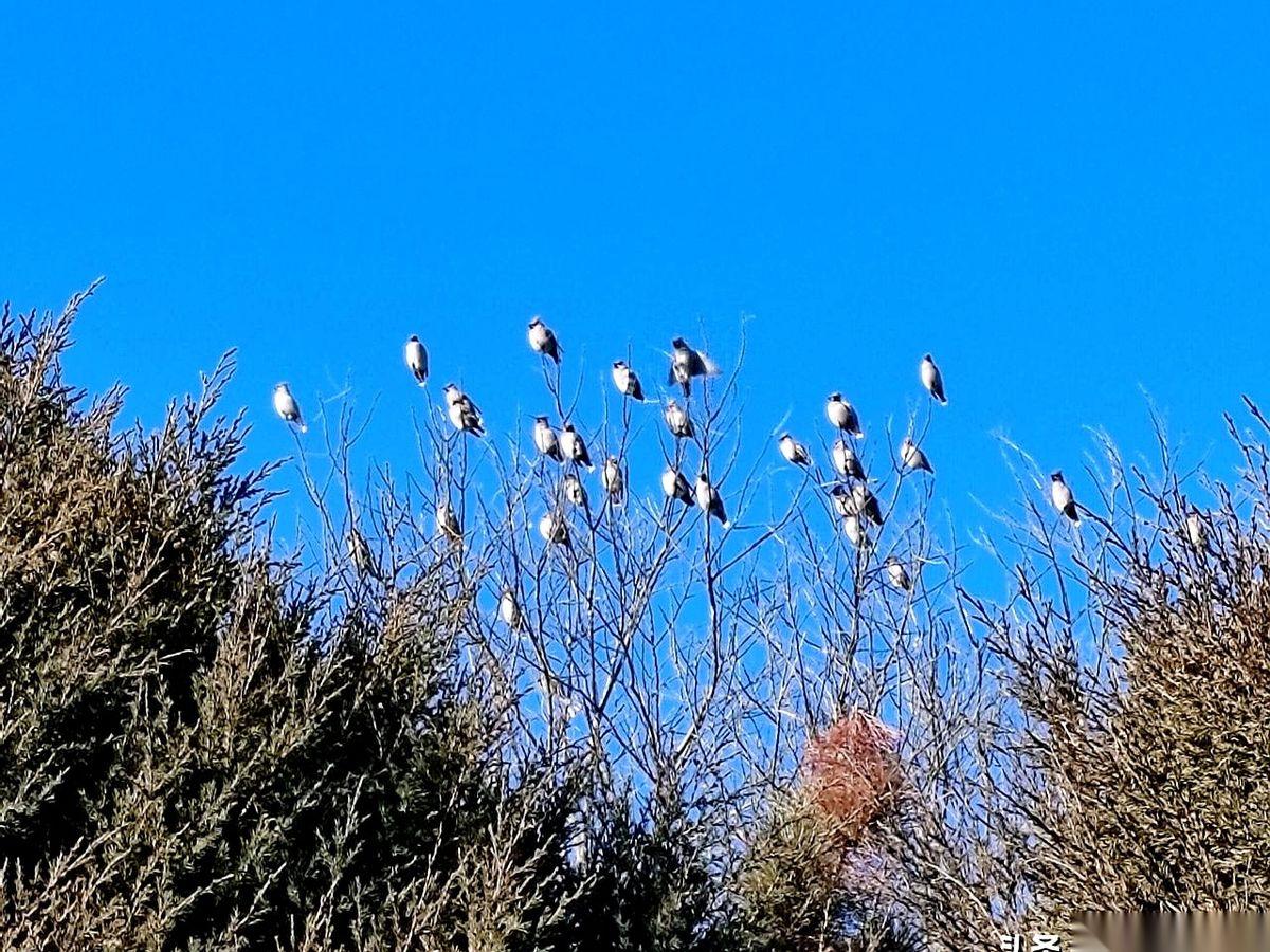 我们小区有对老两口，退休金加起来快两万，一辈子省吃俭用，就盼着拿攒下的一百多万，