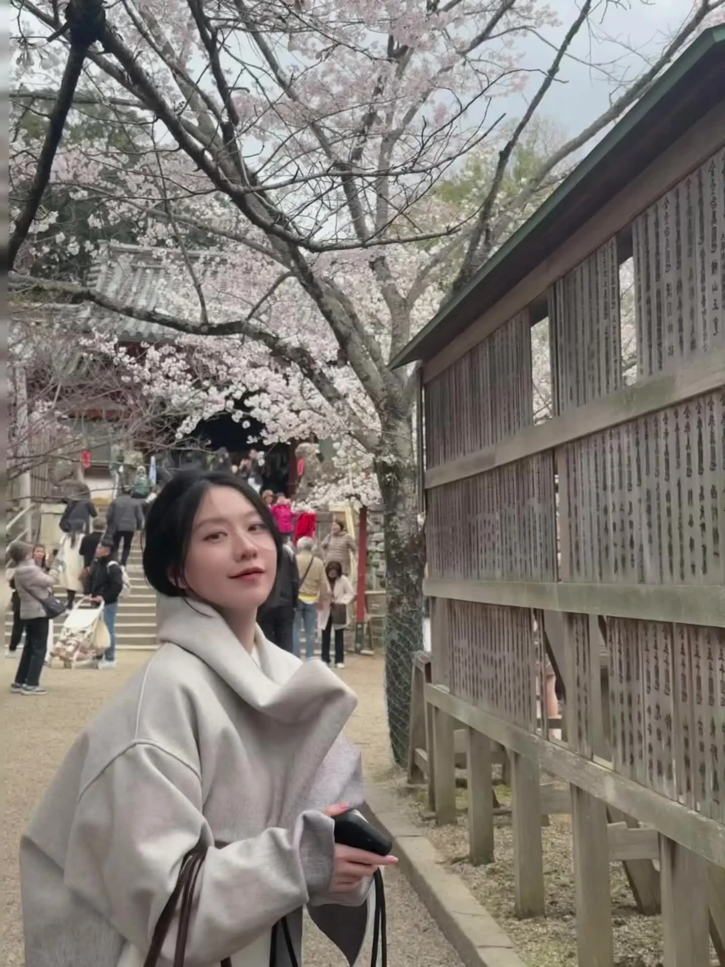 追樱成功🌸