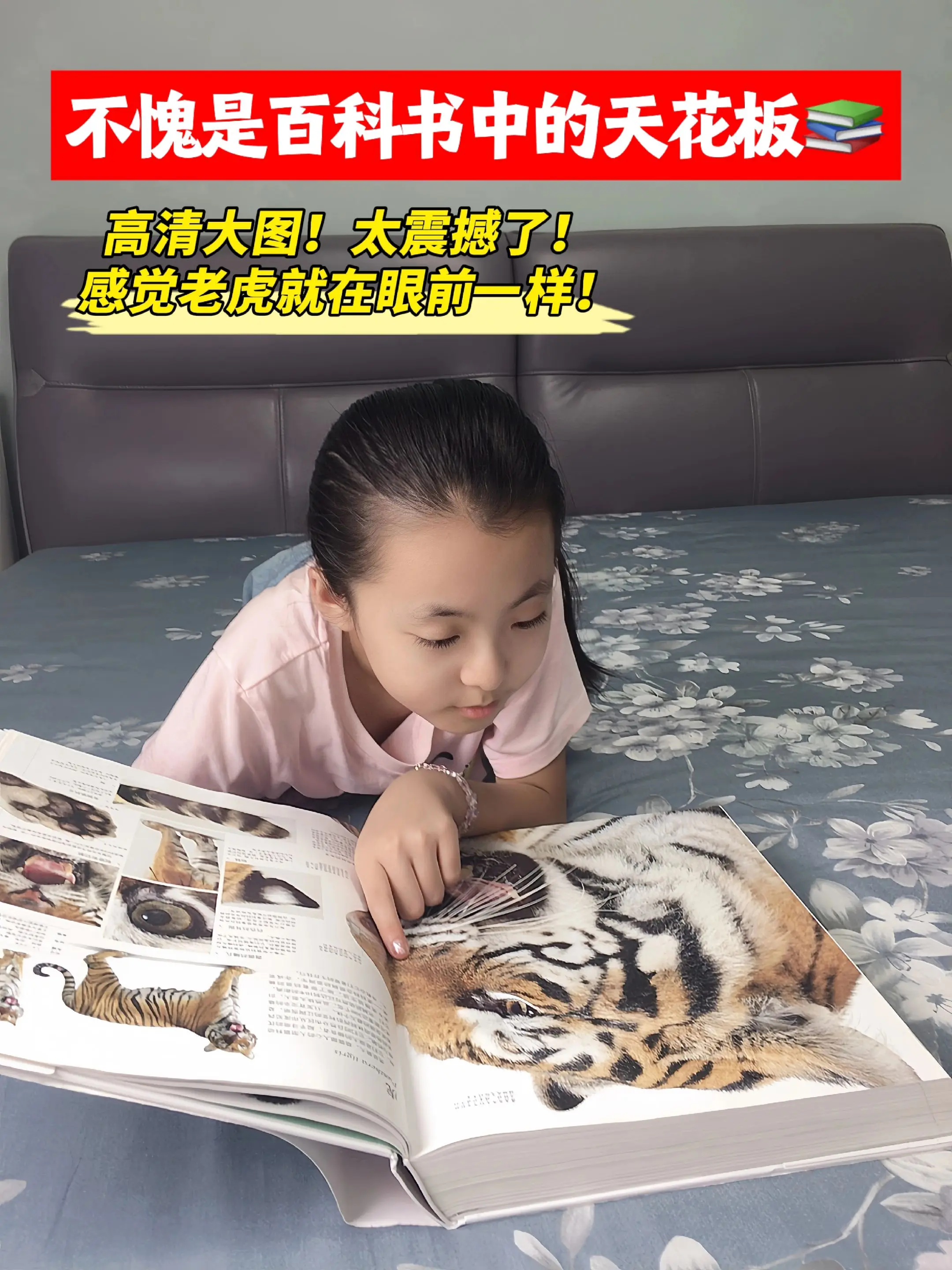 6年磨一剑的DK博物大百科‼️。真的太震撼了‼️所有你认识的，不认识的...