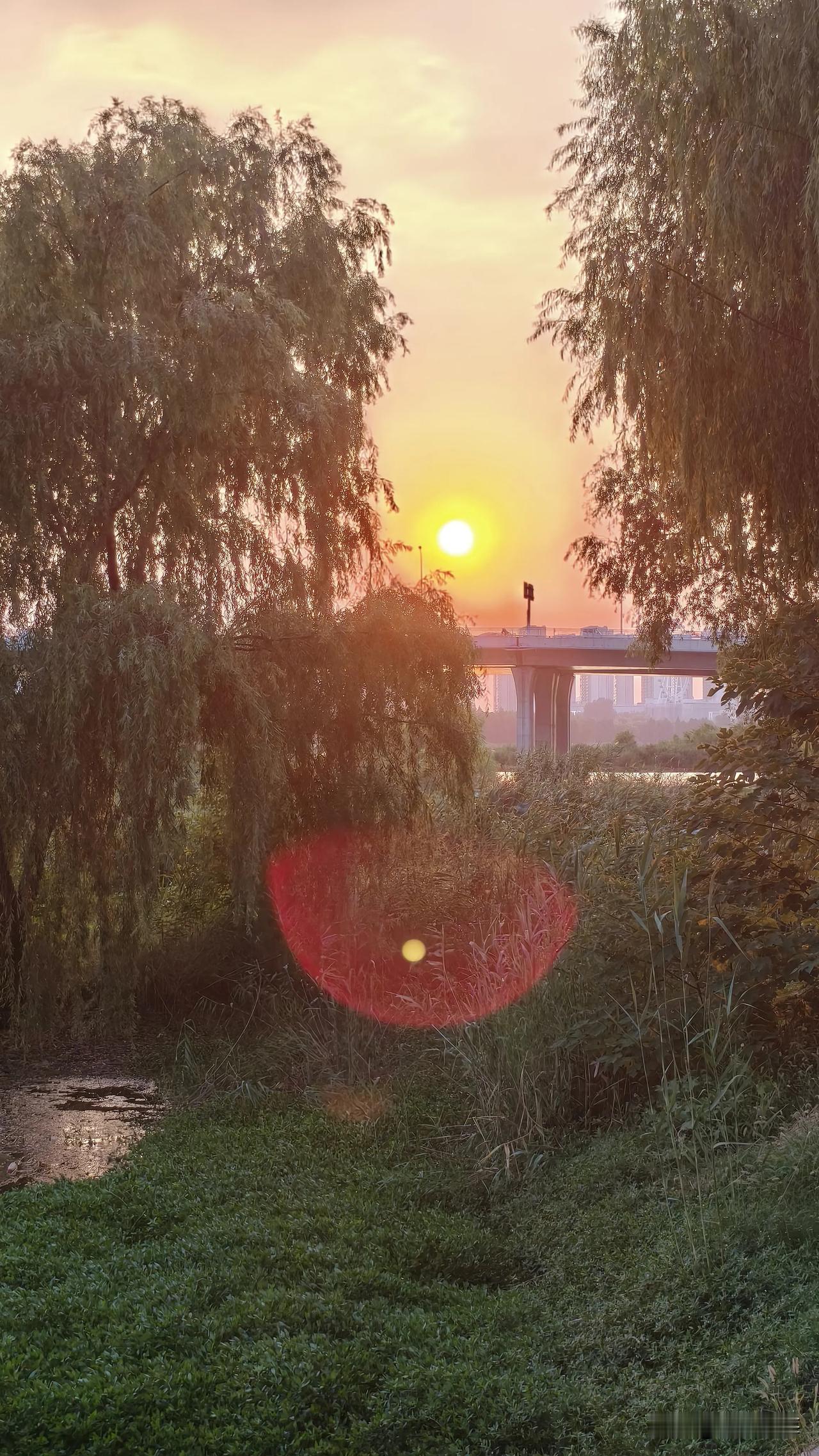 夏日生活打卡季漂亮的阳光，普照出温暖的空气……