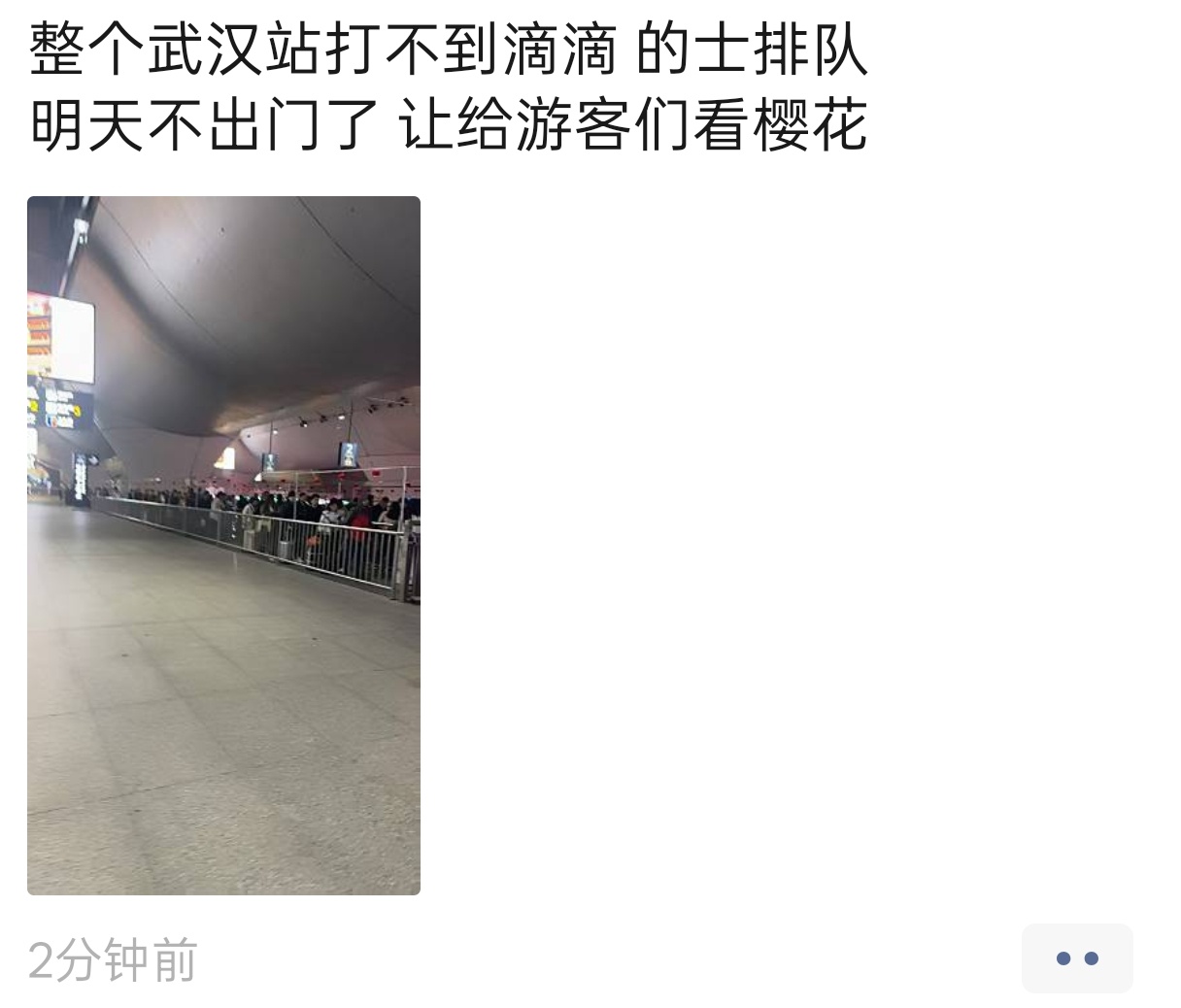 牢胡：故乡的樱花又开了... 