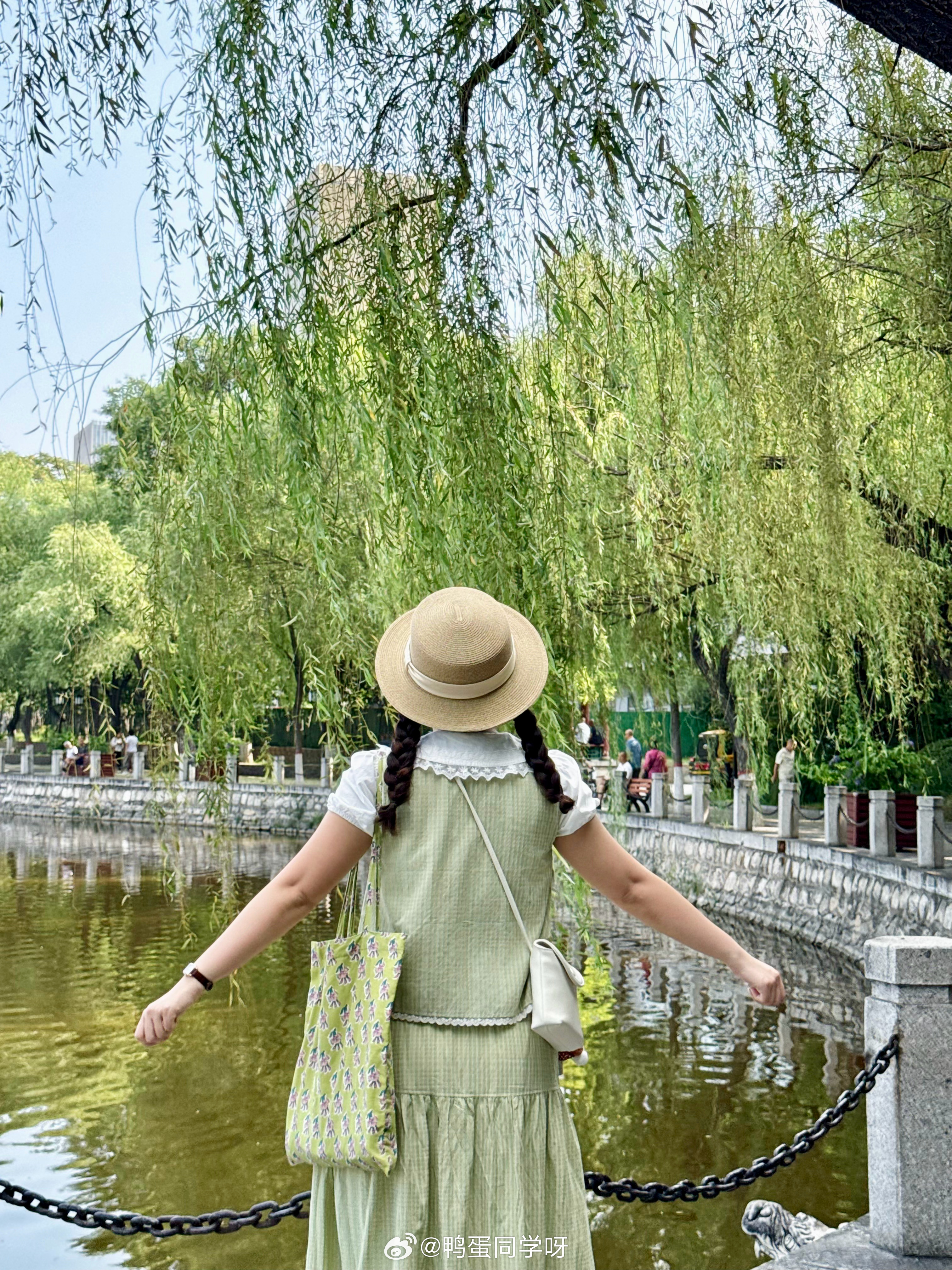 🍏 太原