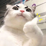狗娃爱看科技