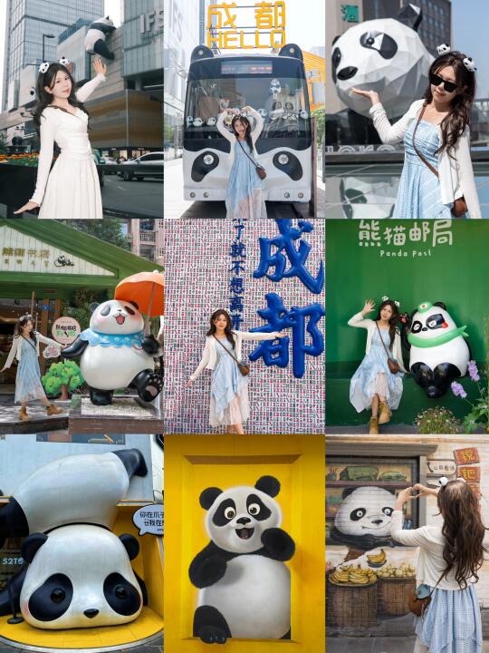 来成都旅行！拍大熊猫机位路线攻略！🐼超出片