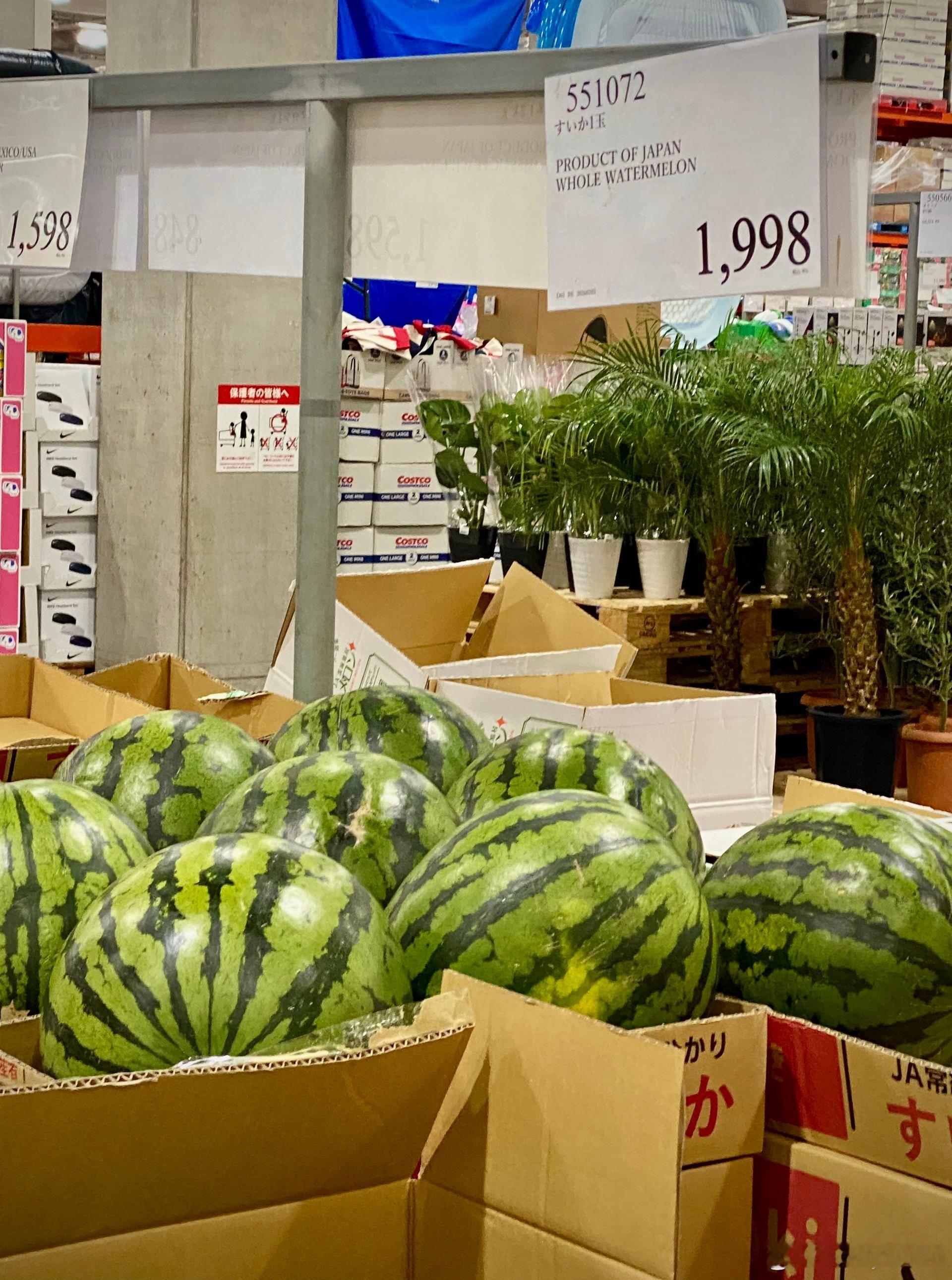 在霓虹買西瓜覺得像吃奢侈品一樣在庶民的OK超市里買一片是449円但在COSTCO