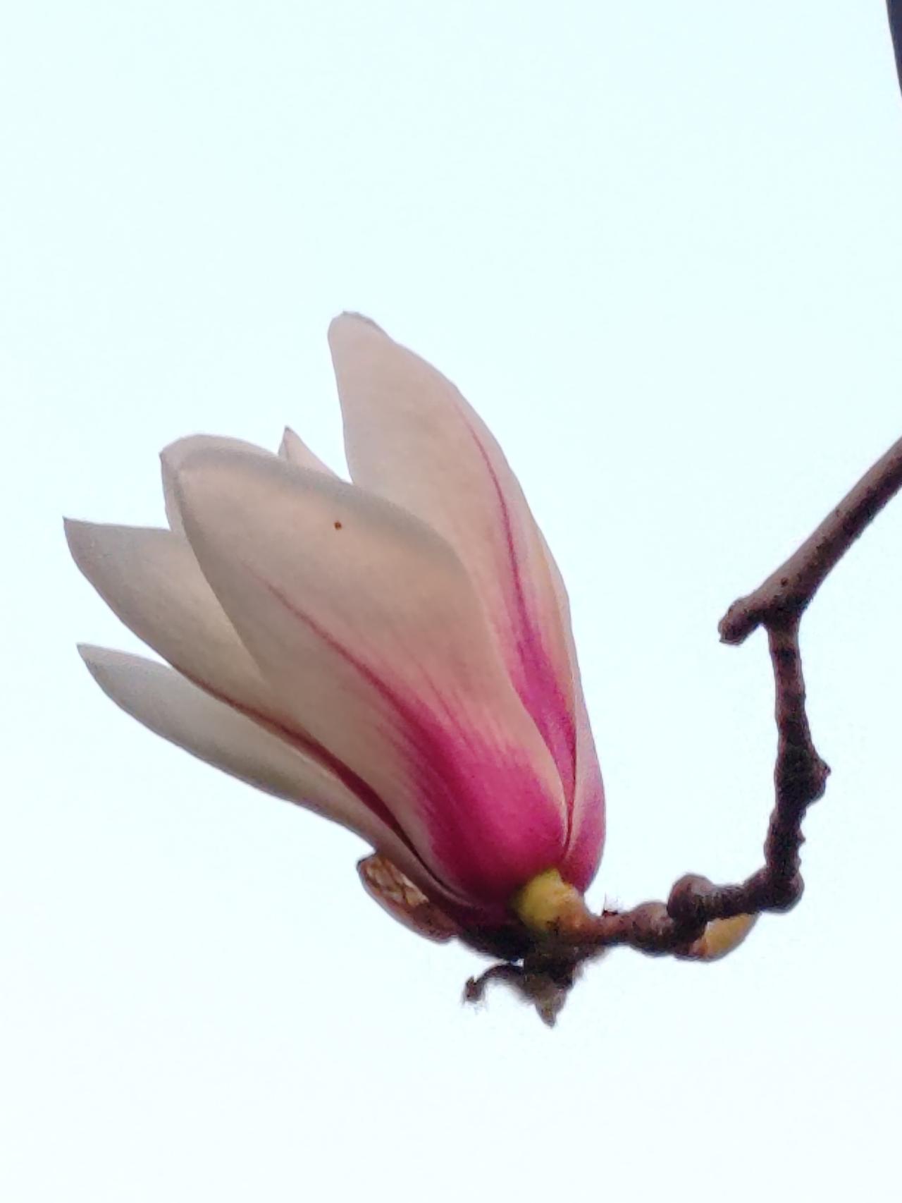 亲戚再好，各管各饱。姐妹再好，吃亏就吵。兄弟再好，借钱就恼。朋友再好，穷困难交。