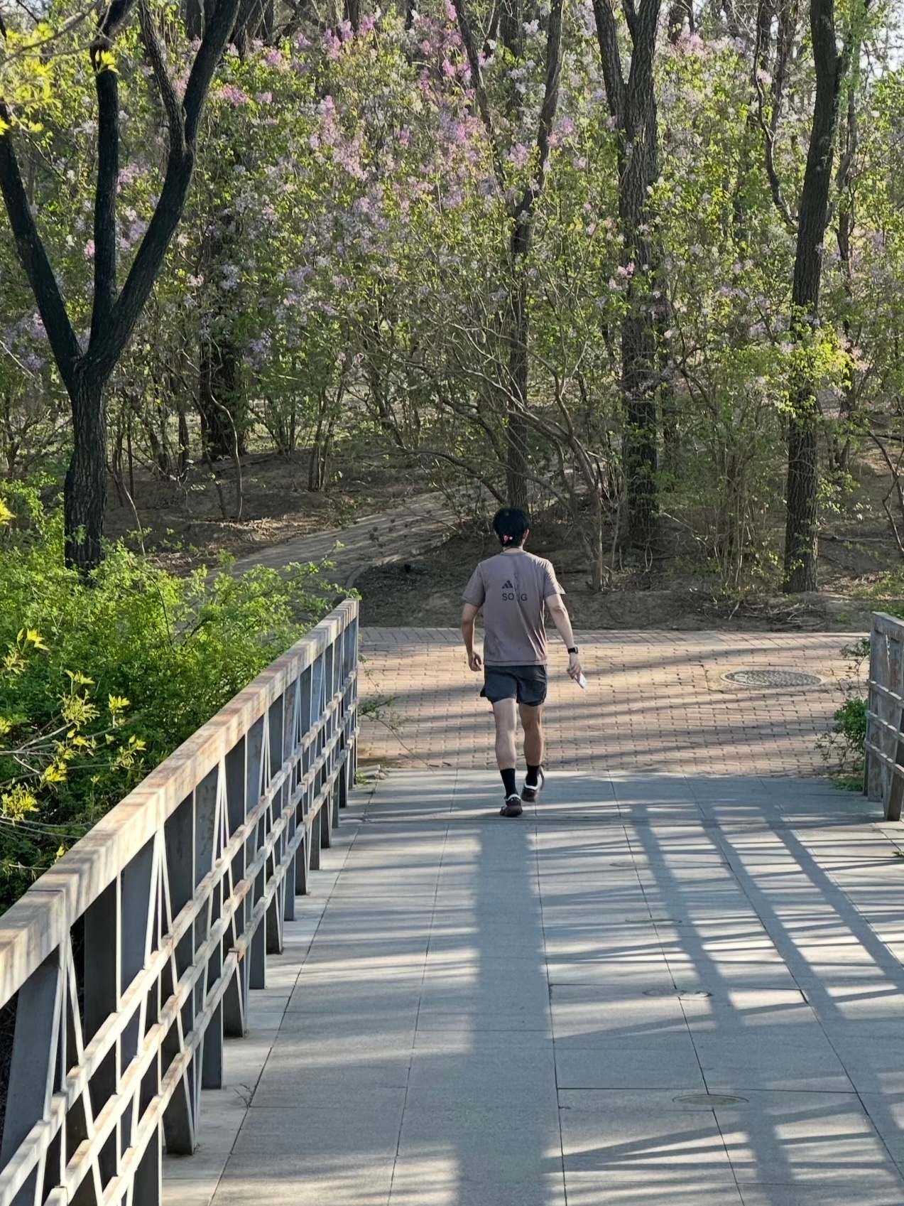 热爱大自然的现哥偶遇李现森林公园拍花奥林匹克森林公园偶遇李现