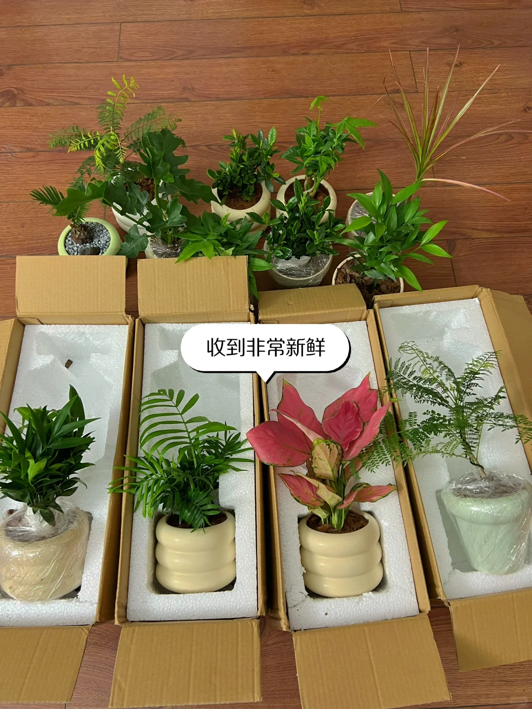 🤭又是被围观的一天…
