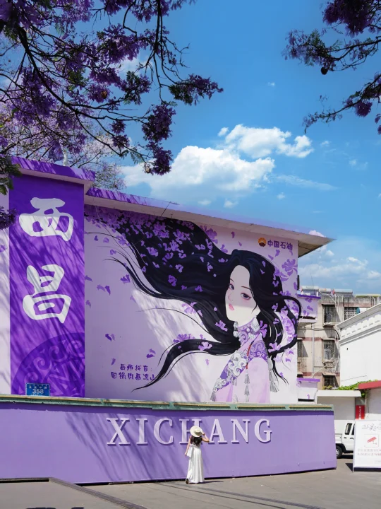 美疯了！西昌蓝花楹花期结束倒计时！！