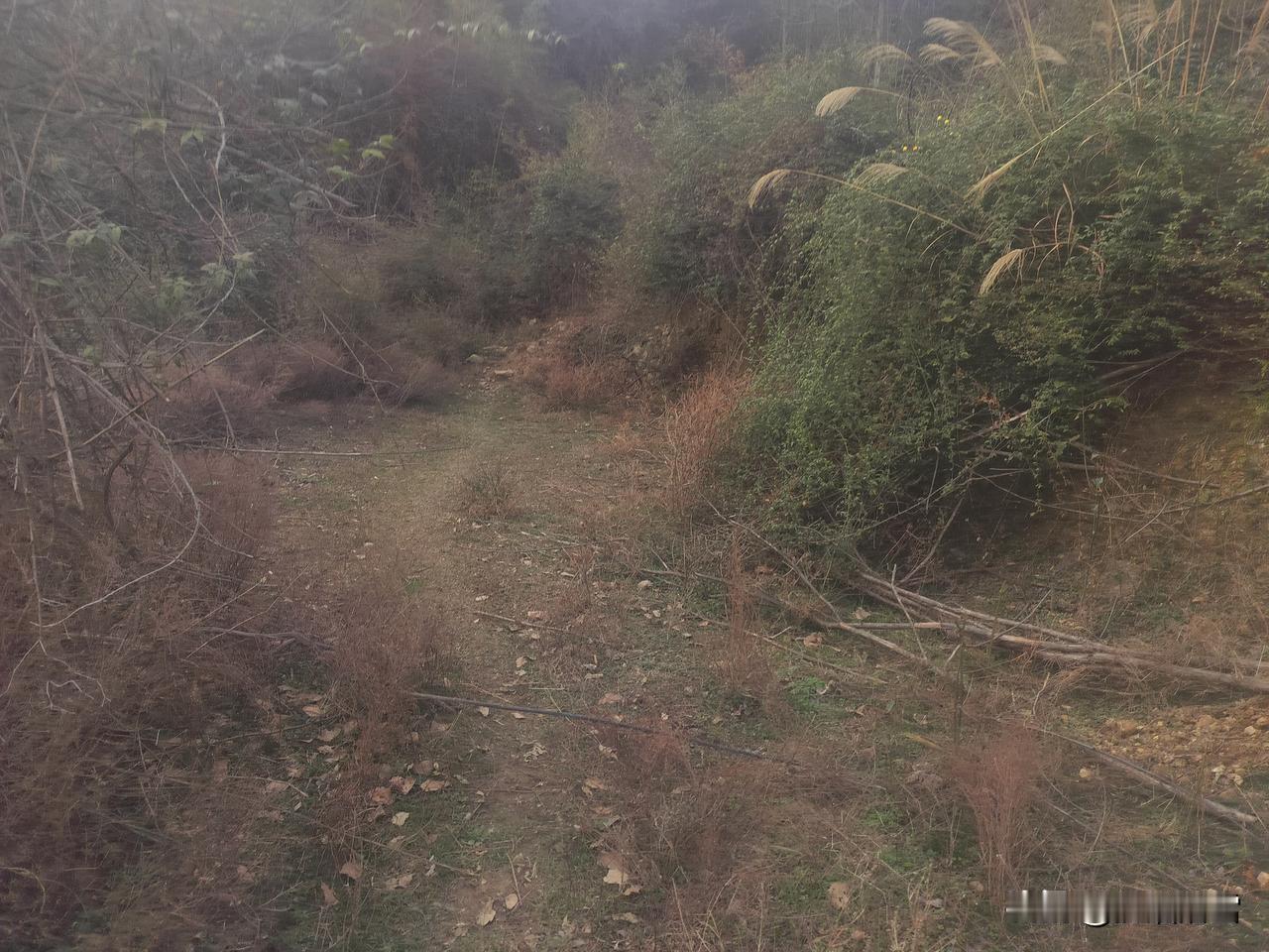 下雨🌧，在家躺平吧