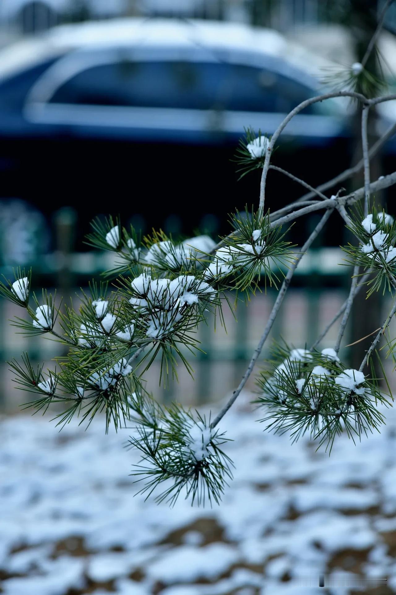 邢台2.21的春雪真是一场惊喜。晚上8点38分，天气本就雾气笼罩，北风呼啸，突然