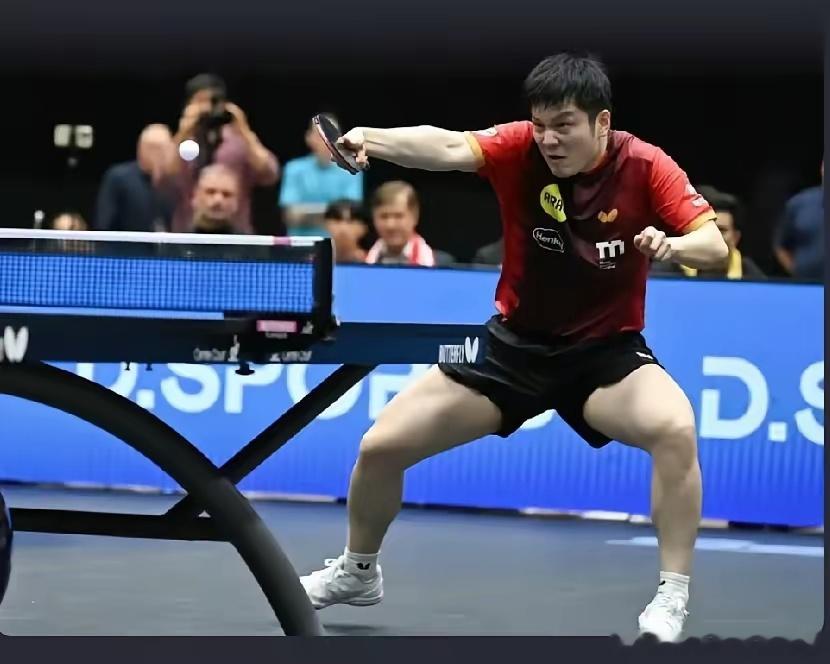 繁星们又有福了！9月5日，樊振东迎来杜塞新赛季第五战，德甲联赛杜塞尔多夫(主场)