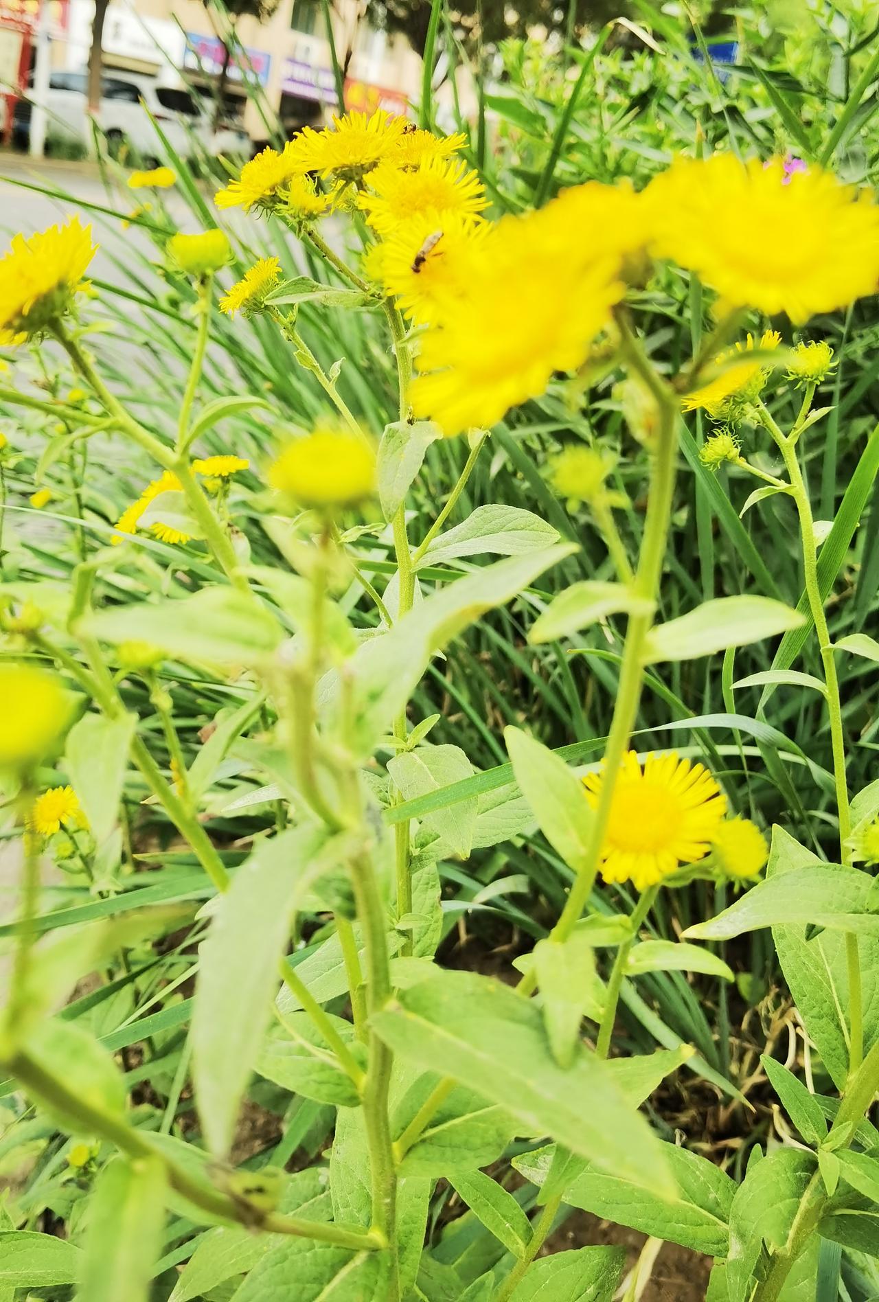 聊聊退休那些事 
生活中，有些年轻人30多岁了还没有交养老保险，父母着急，子女不