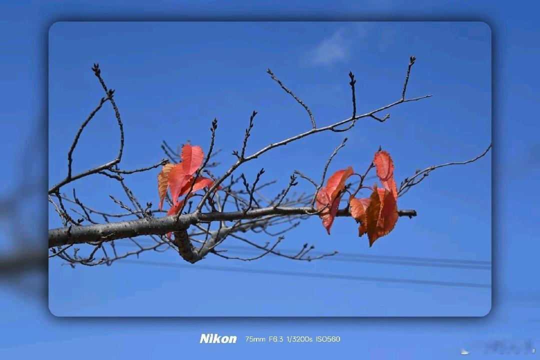 晚安 “你17岁时的勇气到哪里去了？“ 