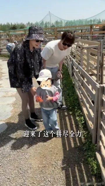 曾出演过《唐朝诡事录》、《琉璃》、《周生如故》、《一念关山》、《锦衣之下》等剧的