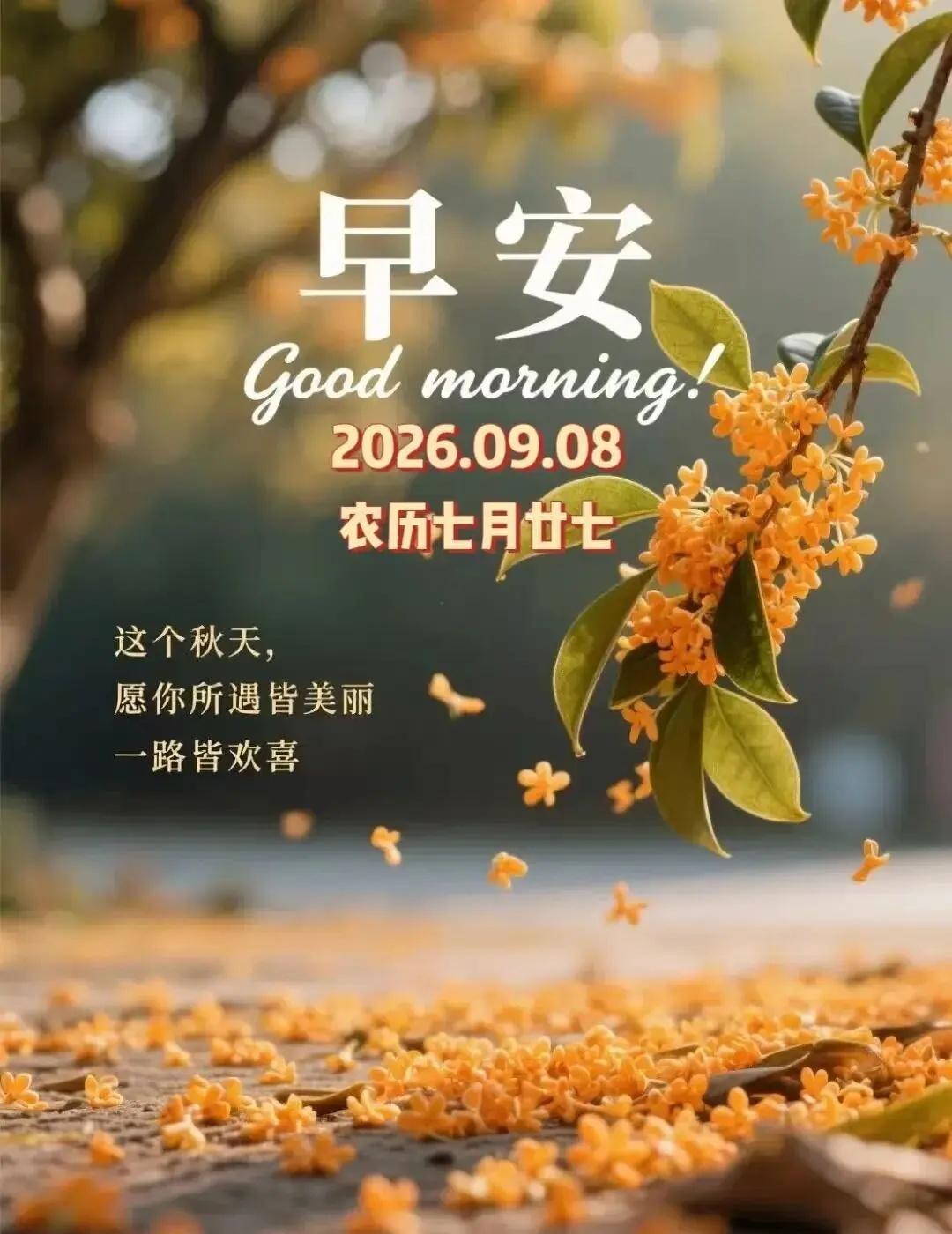 今天9月8日，农历七月二十七，白露时节，愿你金风送爽，白露呈祥，七喜盈门，阖家幸