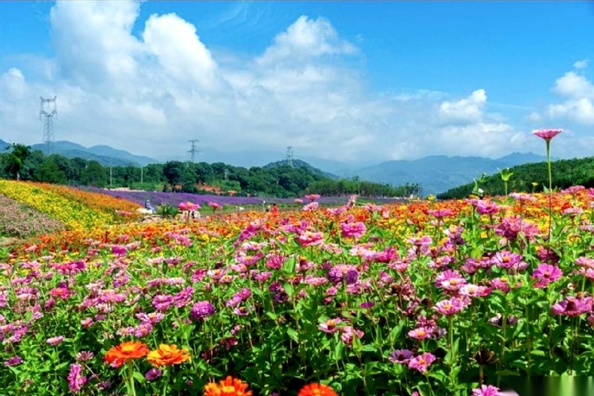 14号了。
手机翻来覆去地看，就等明天那一声响。
那3400块，我心里早就给它分