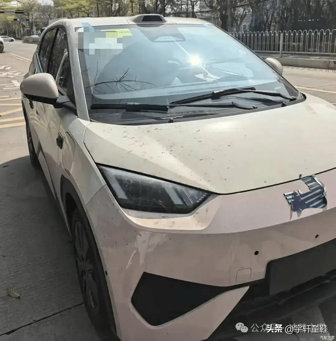 比亚迪海鸥：“对，大家没有看错，我大哥们有的激光雷达，我小海鸥也一样会有！”
话