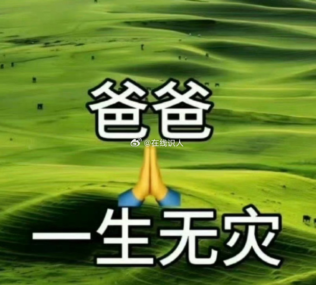 爸爸一生无灾，接住了。 