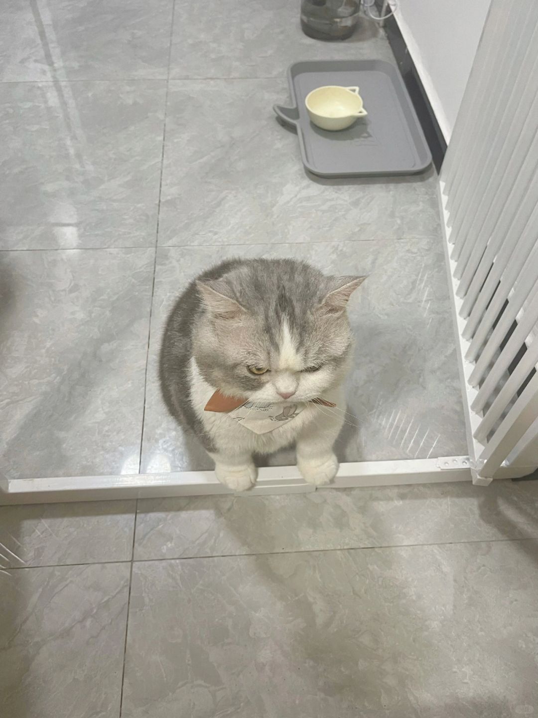 打开门发现在门口蹭一晚上暖气
