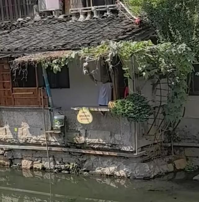 老爷爷把七个葫芦全剪了，不是狠心，是实在没辙了。家门口天天围着一群人，拉着葫芦喊