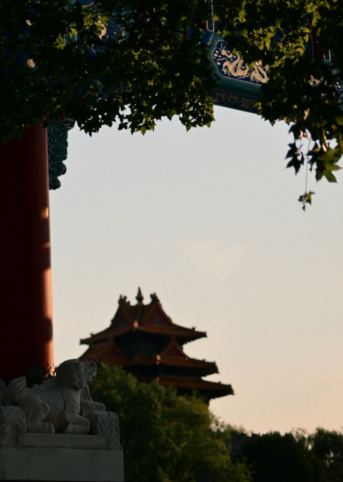 对望 ​​​