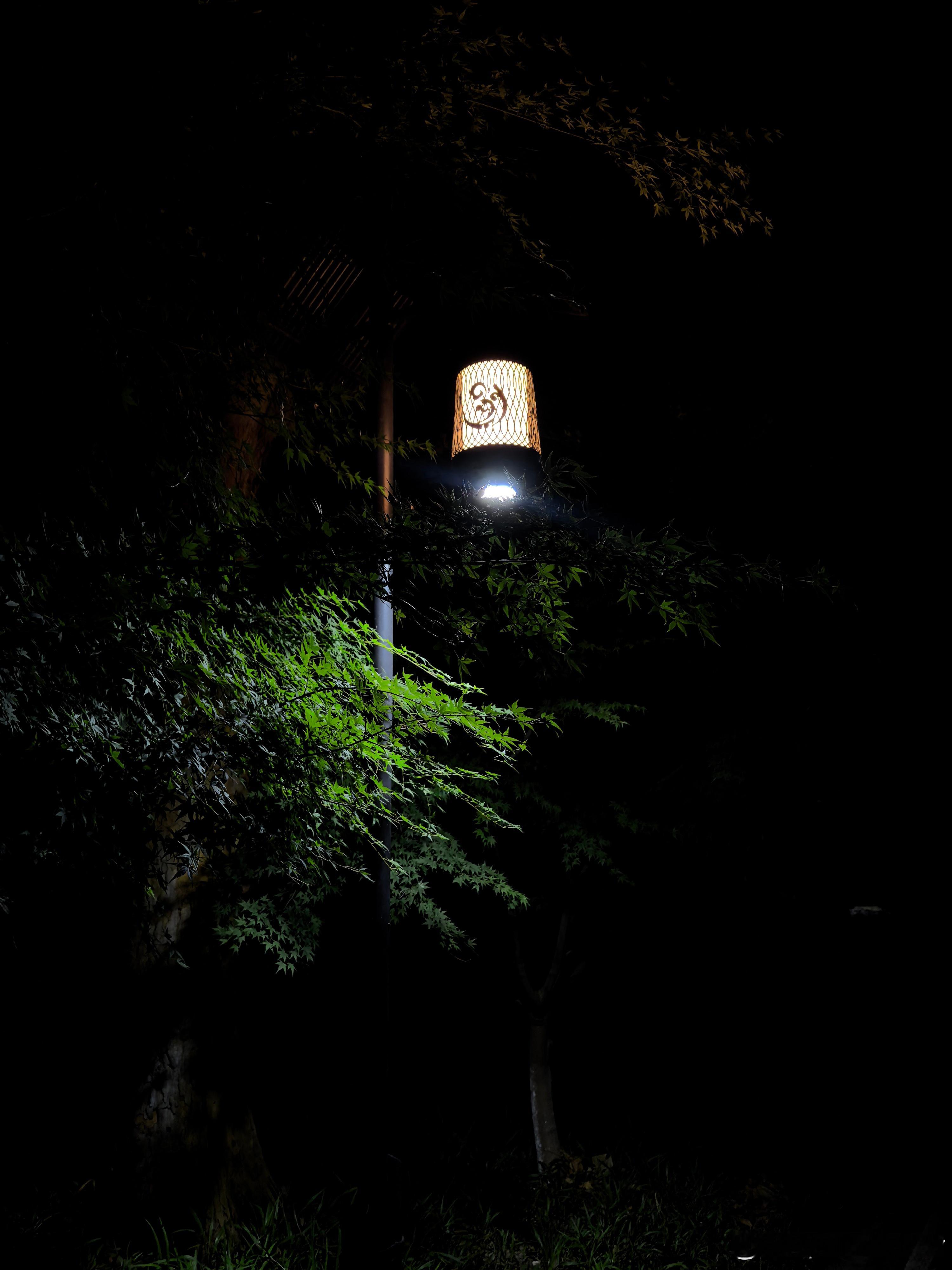 这两天出来跑步，路上能捡的跑友越来越多了 ​​​