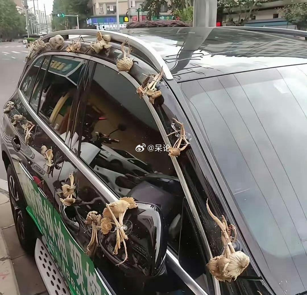 这样的婚车真的好看吗？ 