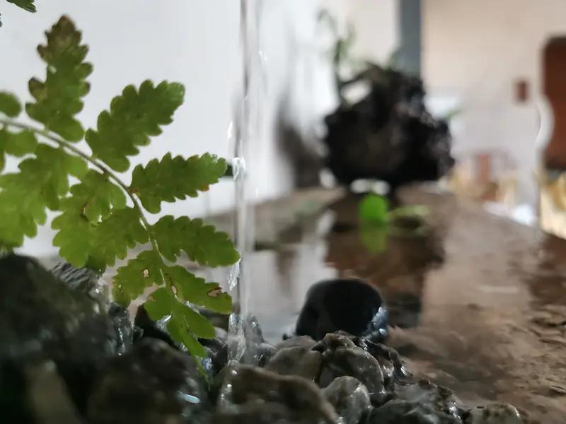 木子李，守拙成溪，流芳千古[赞]