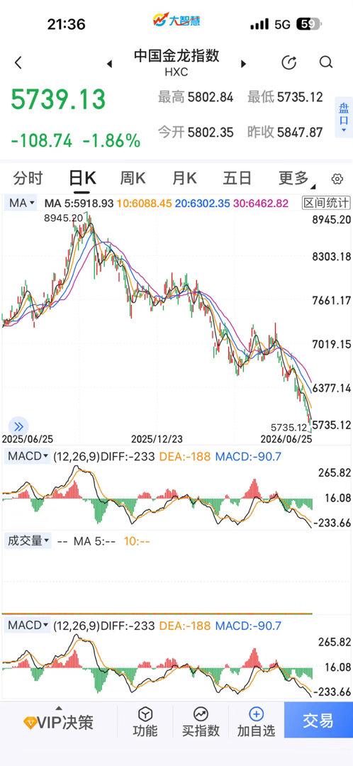 恒生科技和中国金龙指数成难兄难弟，天天跌，你说香港因为流动性可以理解，但老美那边