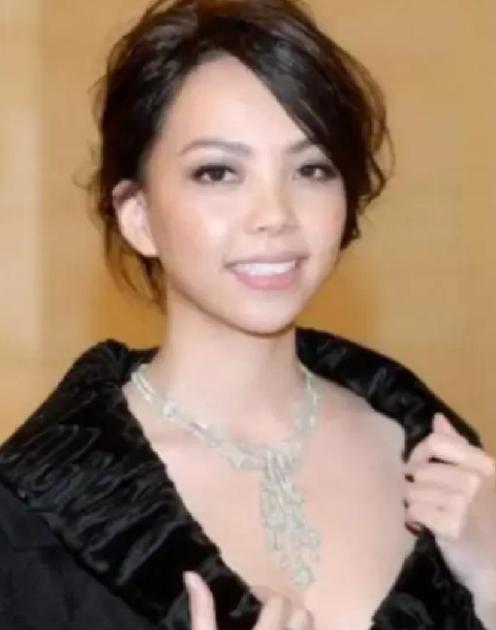 2010年，37岁的张惠妹对31岁的酒吧调酒师一见钟情，她为他砸下1500万，决