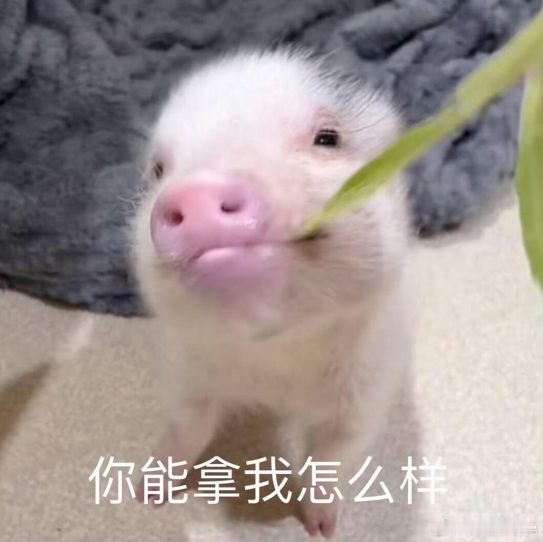都可以想象到高超因为热衷于天天穿衬衫+大裤衩+球鞋，被每天严肃服美役的大要哥高越