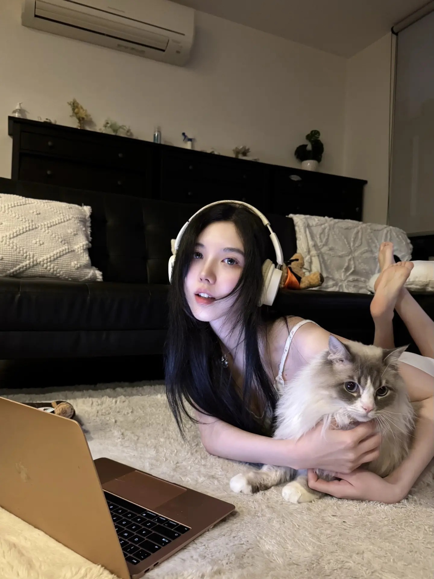 12月3日限定𓈒  ☽  🩰·˚ 🐈₊  ·