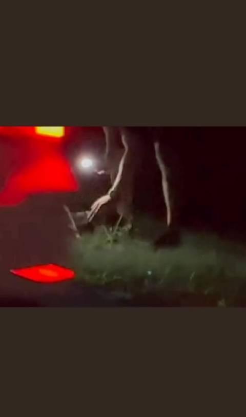 格犬带回家养的很好！杜江还多次为小动物发  声，网  友呼  吁成  立动 物保