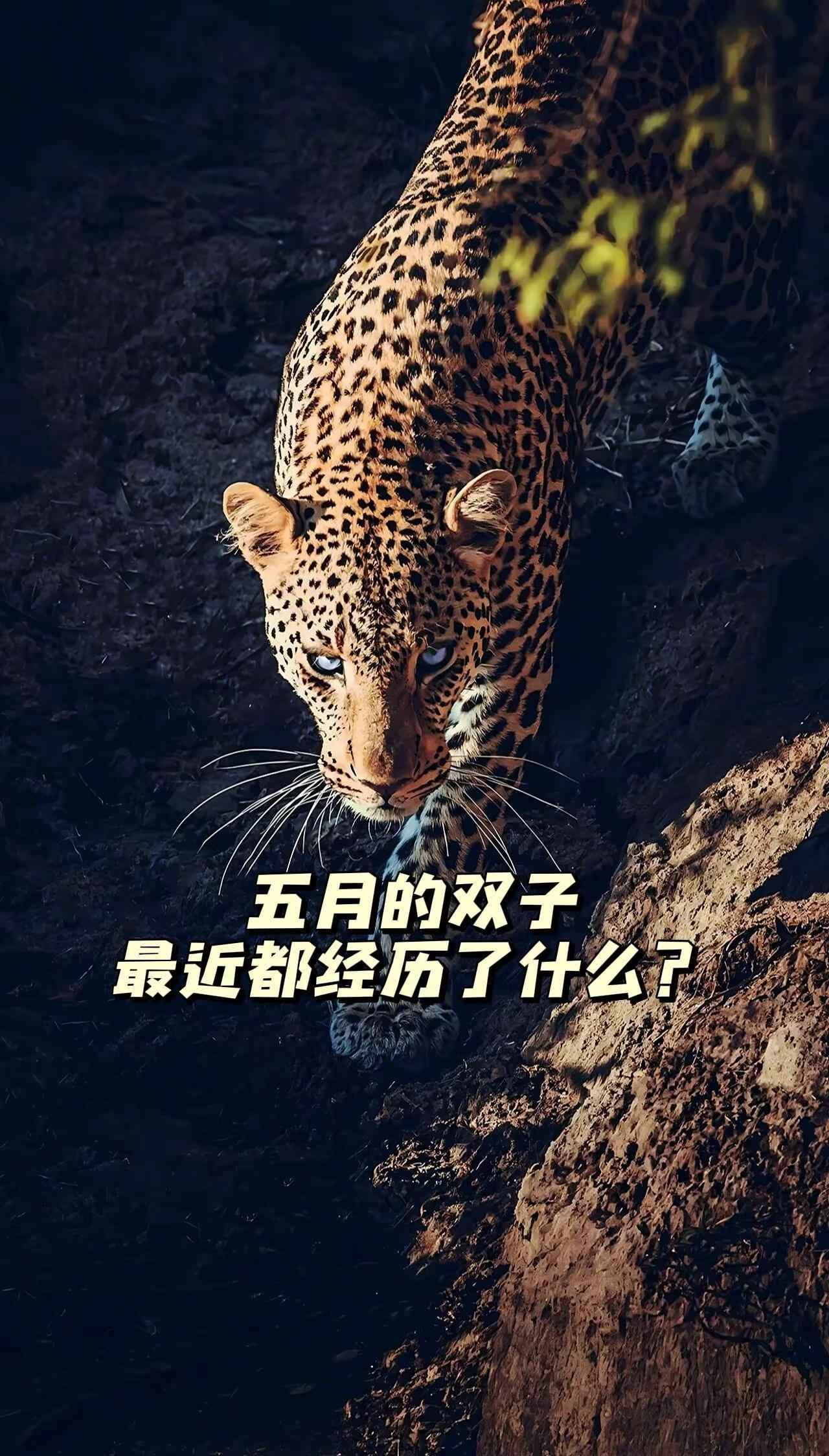 创作者中心 创作灵感 经历 酸甜苦辣自己尝