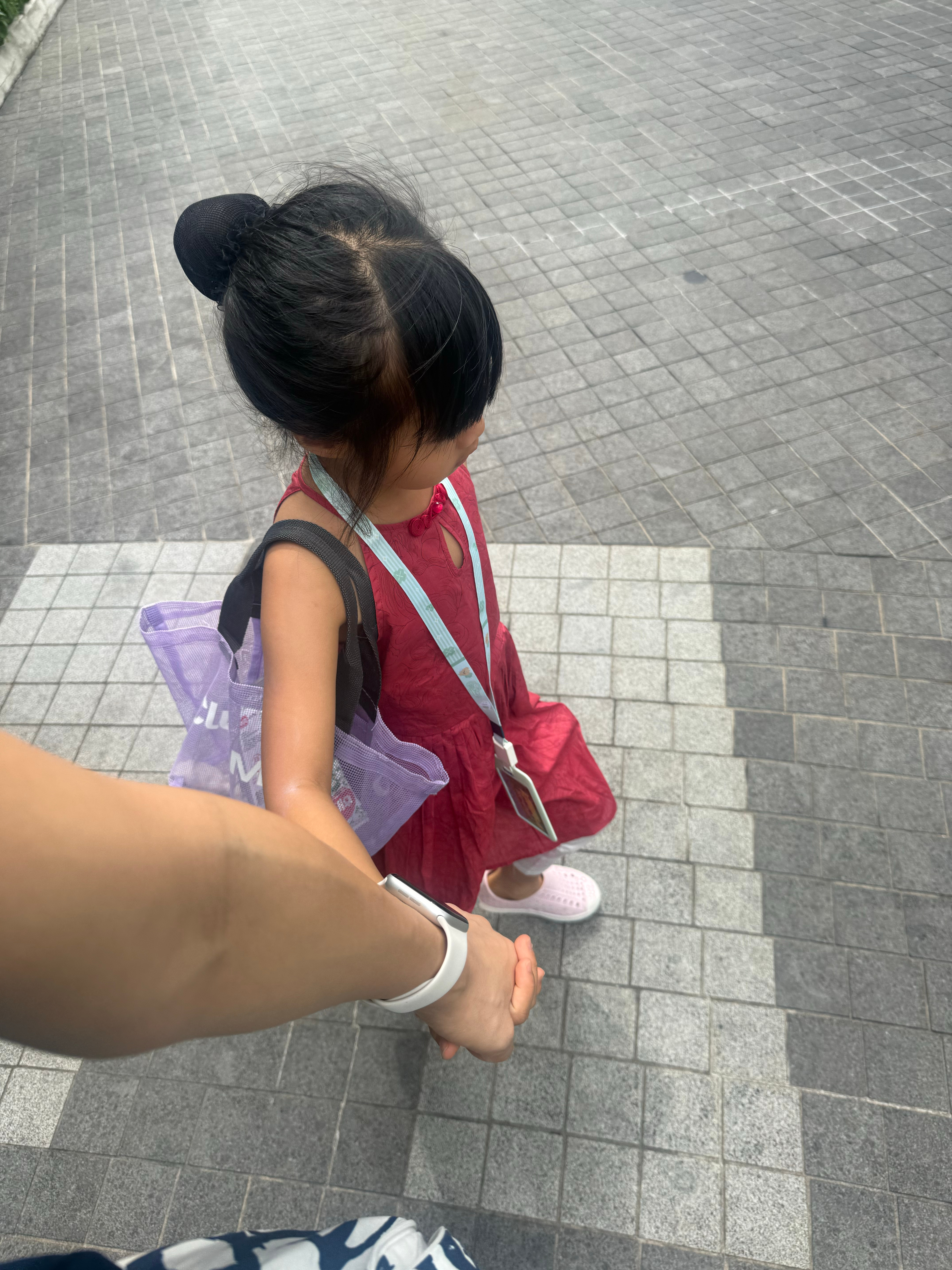 昨天带一只今天又带一只为啥呢？因为我不怕苦不怕累