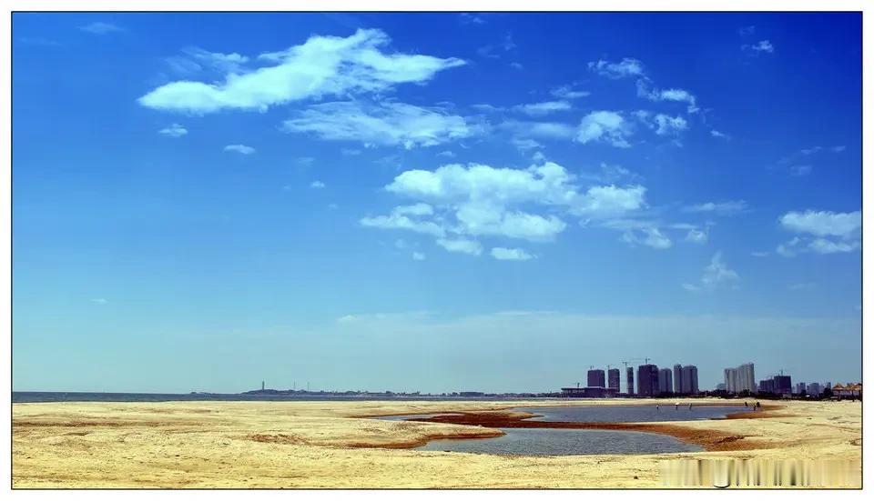 北方的冬天也有“春光明媚  ”